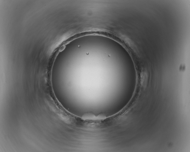X0000111931165200907271306