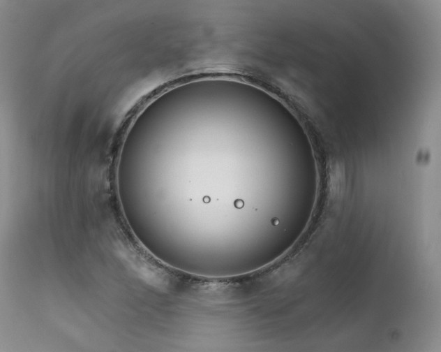 X0000111931166200907271306