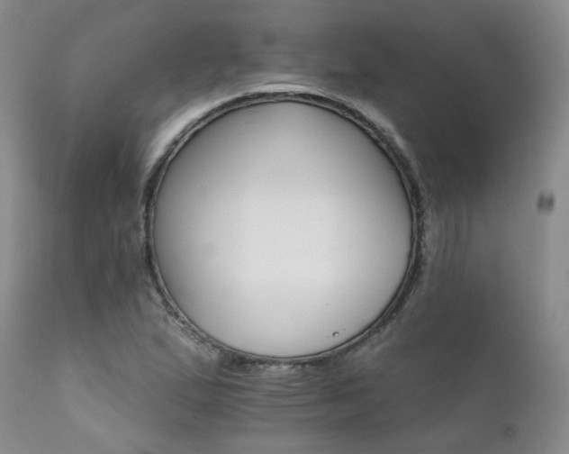 X0000111931167200907271306