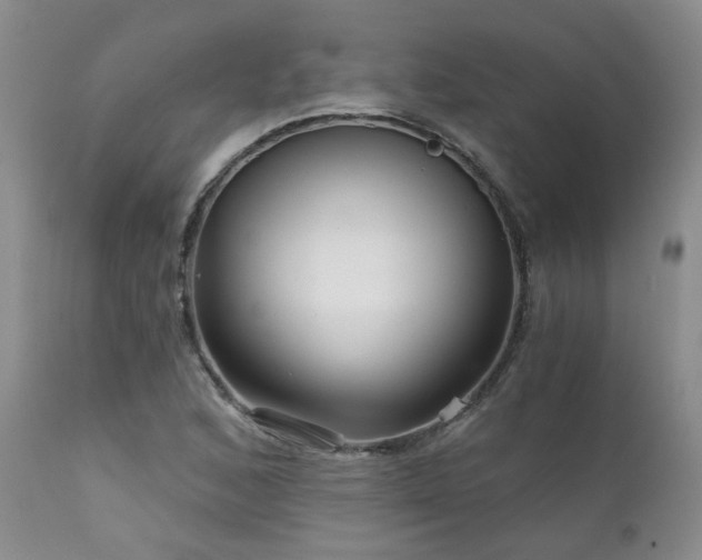 X0000111931168200907271306