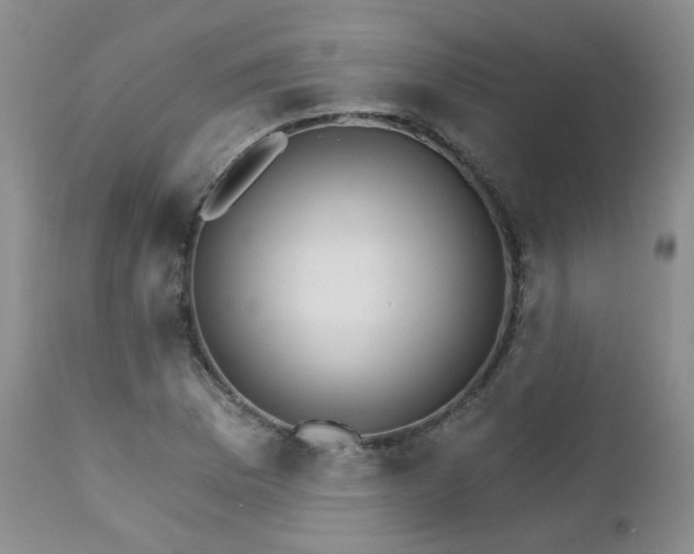 X0000111931169200907271306