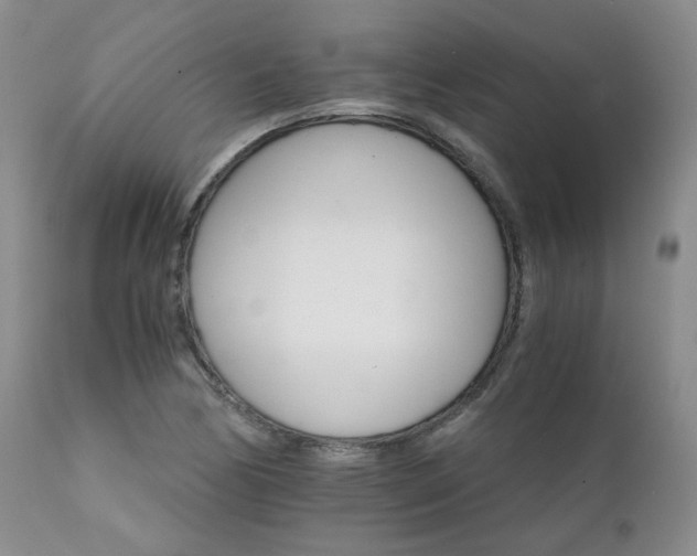 X0000111931170200907271306