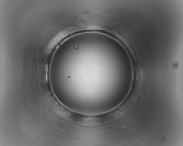 X0000111931171200907271306
