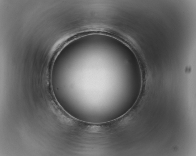 X0000111931172200907271306