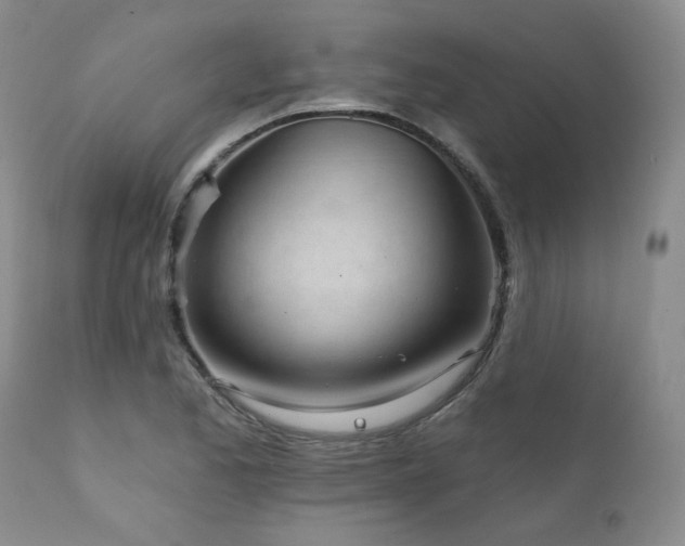 X0000111931173200907271306