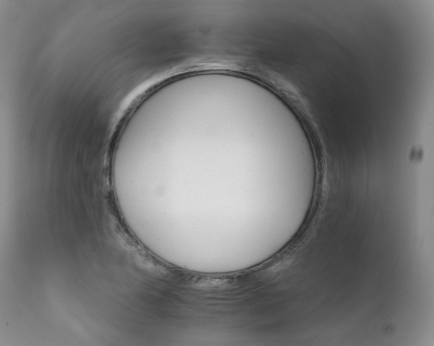 X0000111931174200907271306