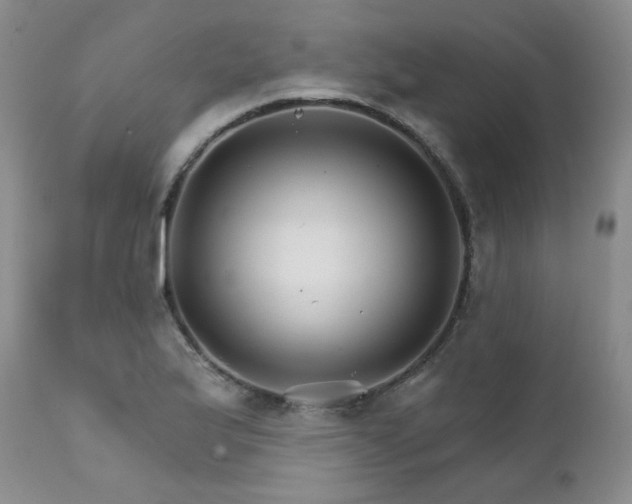 X0000111931175200907271306