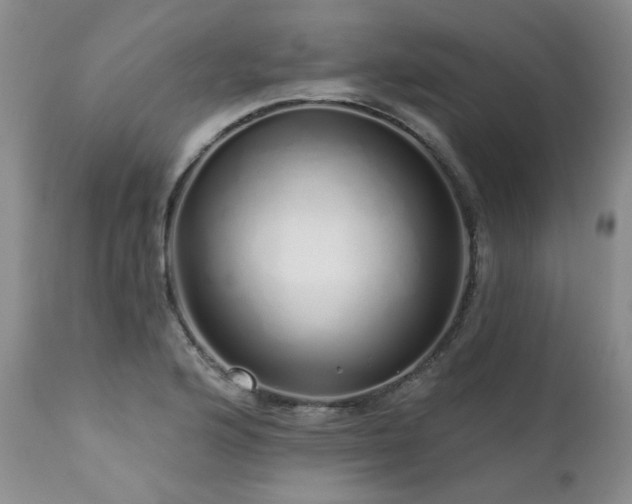 X0000111931176200907271306