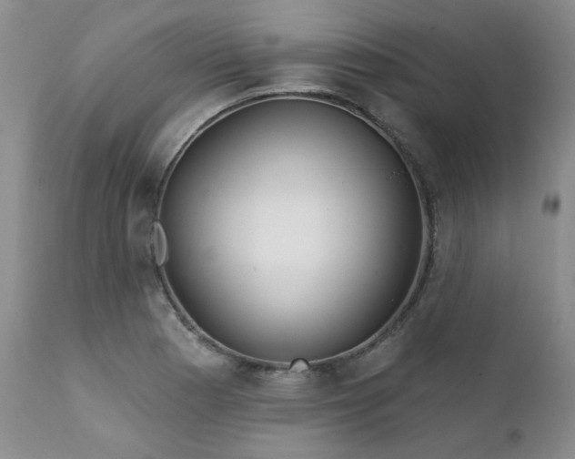 X0000111931177200907271306