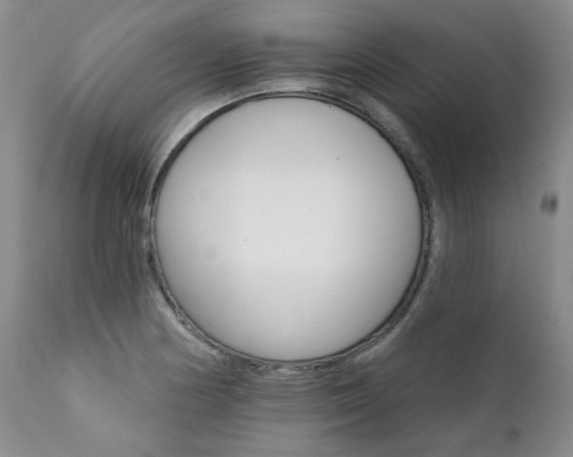 X0000111931178200907271306