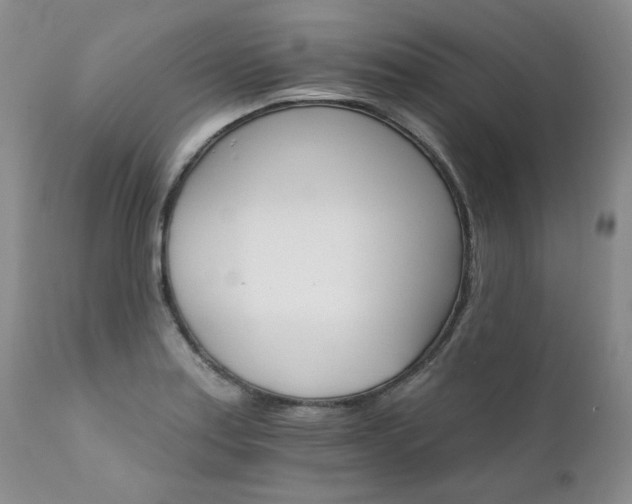 X0000111931179200907271306