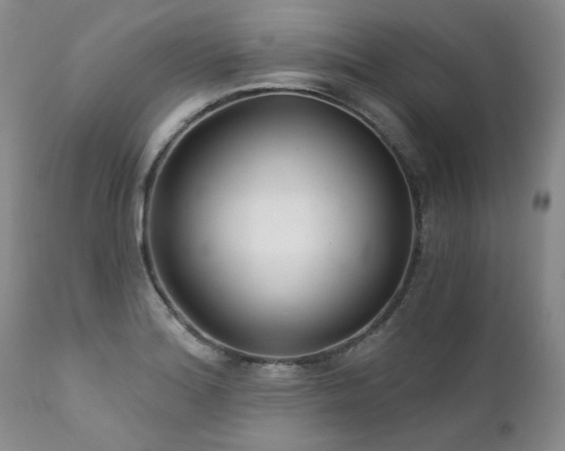 X0000111931180200907271306