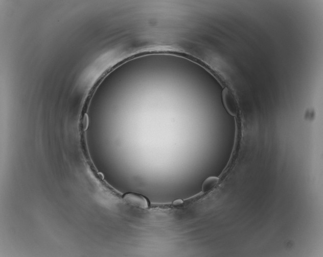X0000111931181200907271306