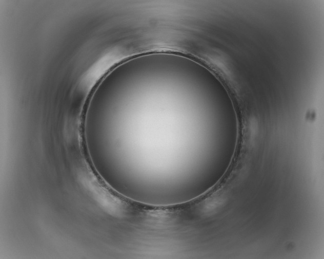 X0000111931182200907271306