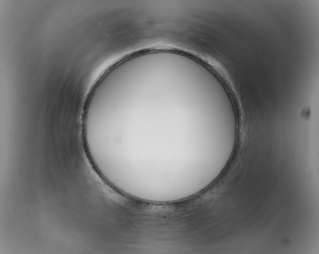 X0000111931183200907271306