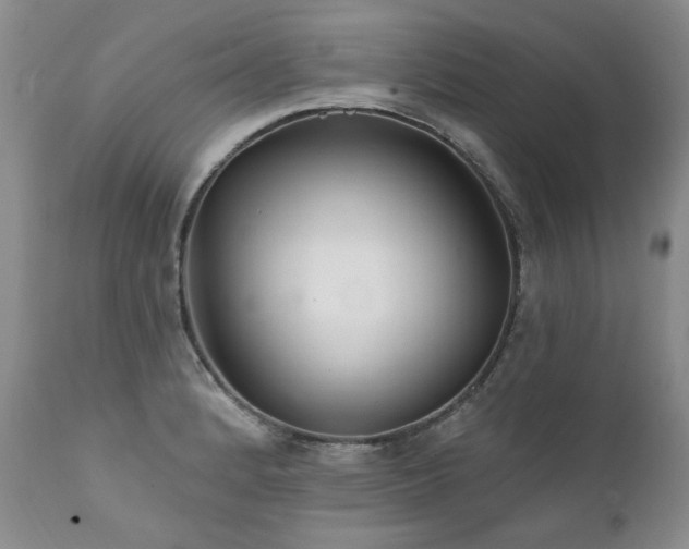X0000111931184200907271306