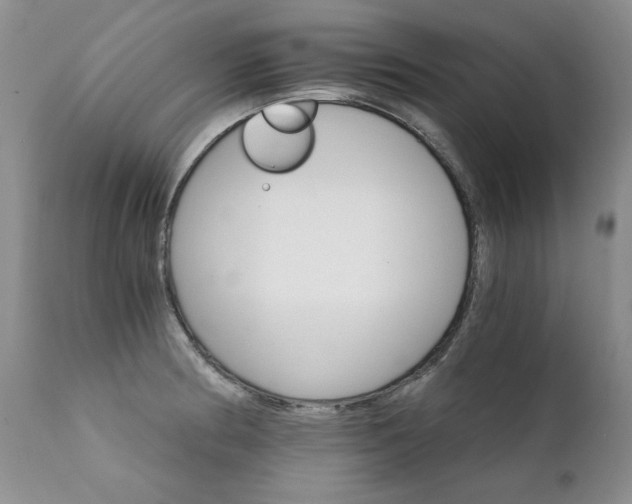 X0000111931186200907271306