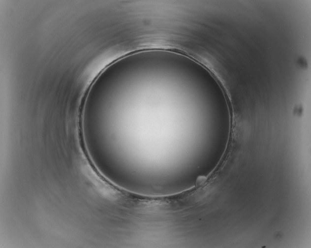 X0000111931187200907271306