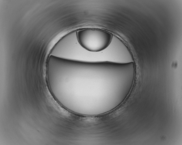 X0000111931188200907271306
