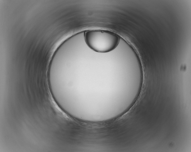 X0000111931189200907271306