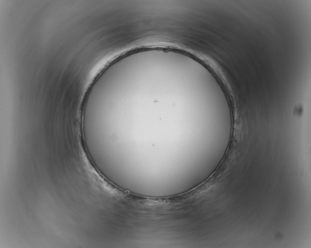 X0000111931191200907271305