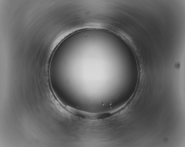 X0000111931192200907271305