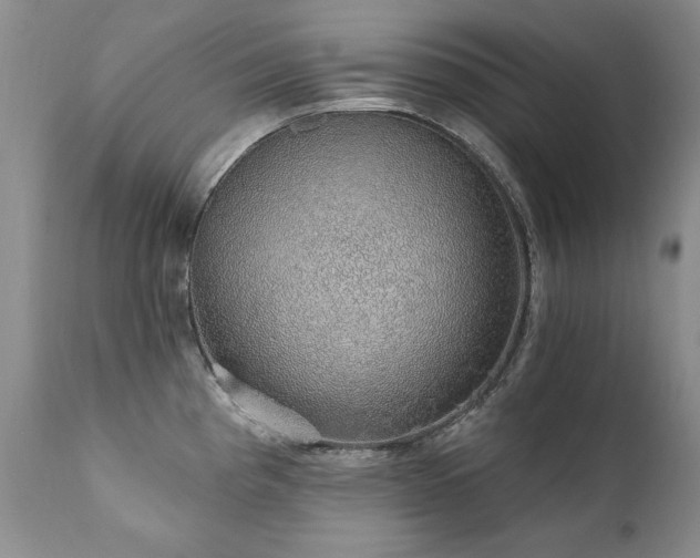 X0000111931193200907271305