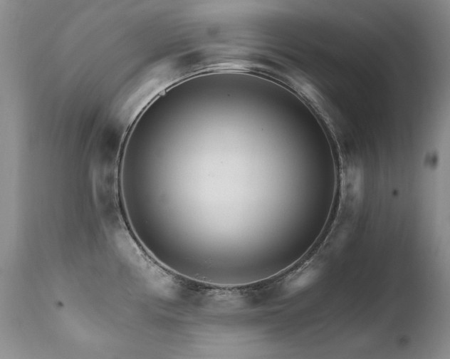 X0000111931194200907271305