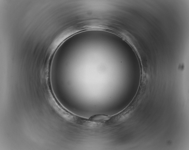 X0000111931195200907271305