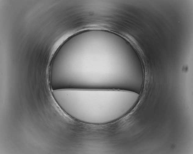 X0000111931196200907271305
