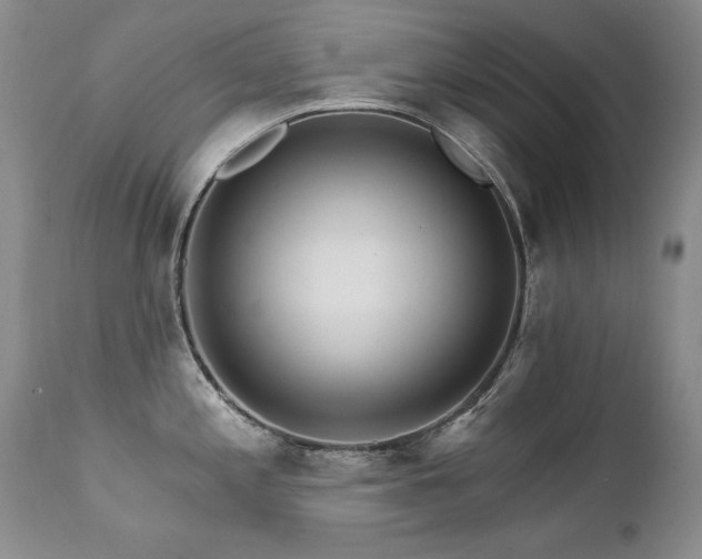 X0000111931197200907271305