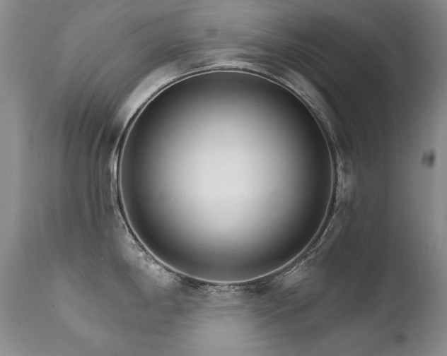 X0000111931198200907271305