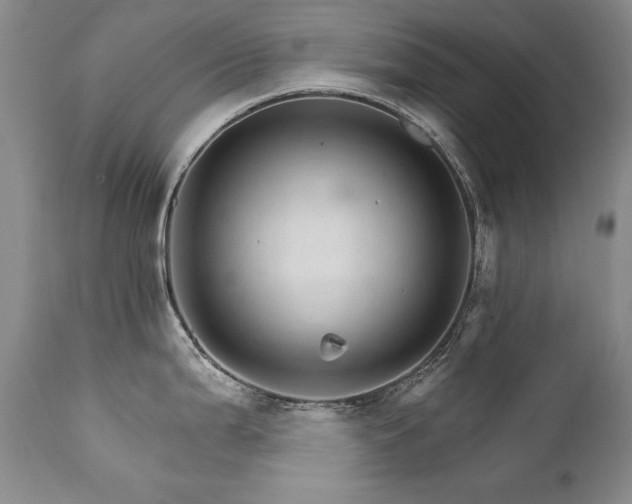 X0000111931199200907271305