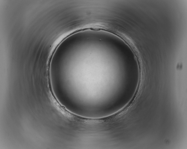 X0000111931200200907271305