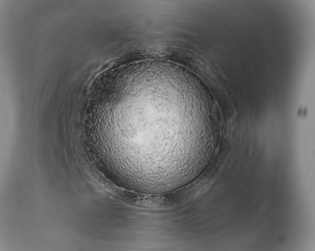 X0000111931201200907271305