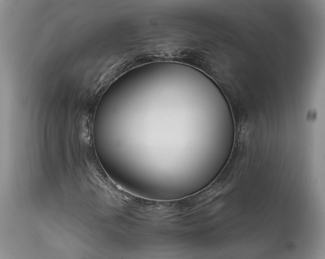 X0000111931202200907271305