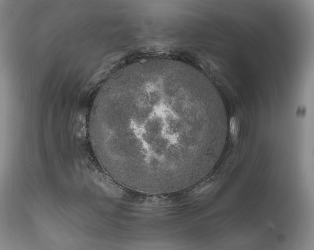 X0000111931203200907271305