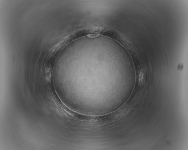 X0000111931204200907271305