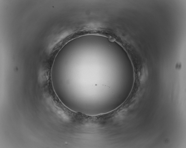X0000111931206200907271305
