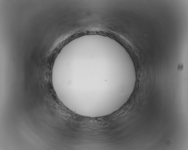 X0000111931207200907271305