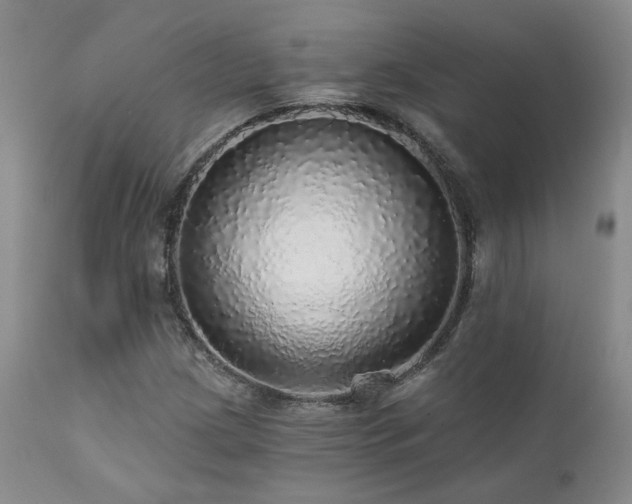 X0000111931209200907271305