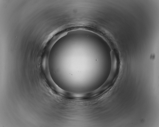 X0000111931210200907271305