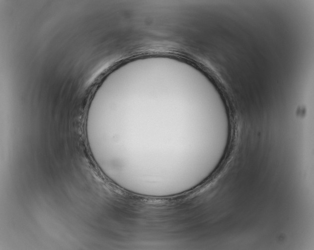 X0000111931211200907271305