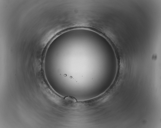 X0000111931212200907271305