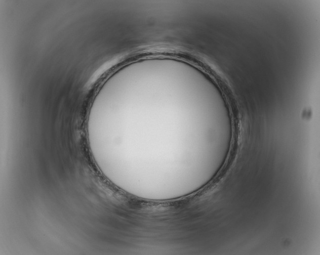 X0000111931213200907271305