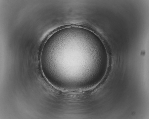 X0000111931214200907271305