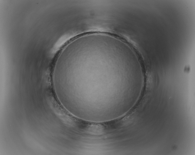 X0000111931215200907271305
