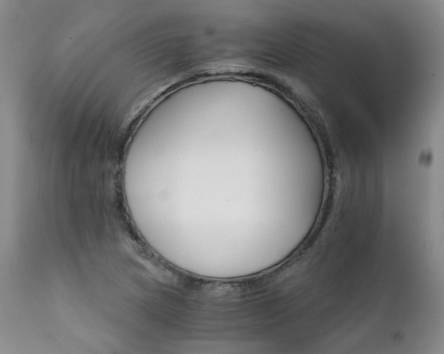 X0000111931217200907271305