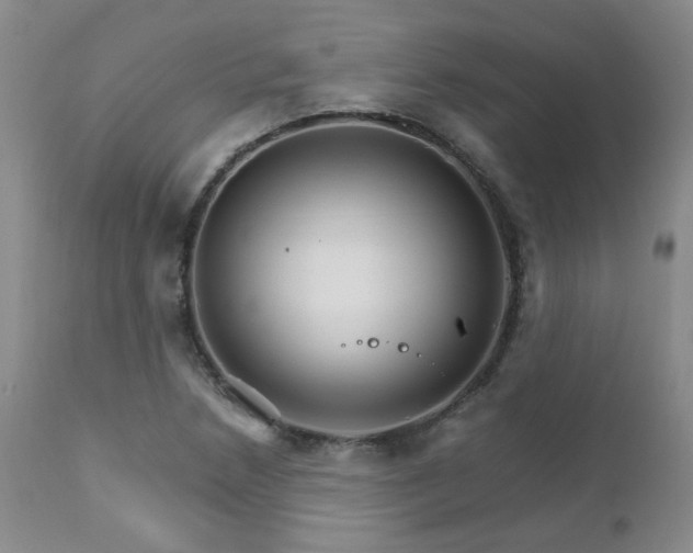 X0000111931218200907271305
