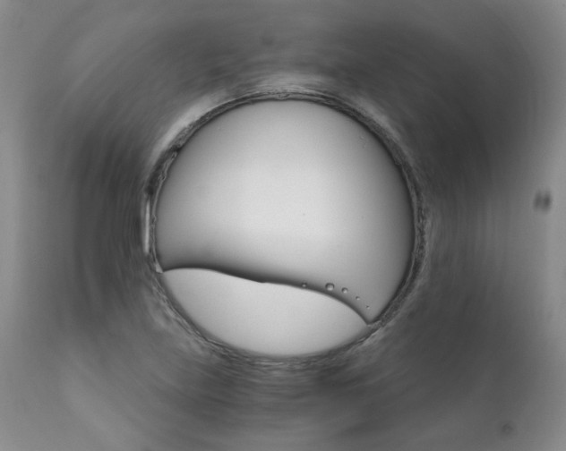 X0000111931219200907271305